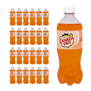 Canada Dry Peach Soda 20oz 24ct