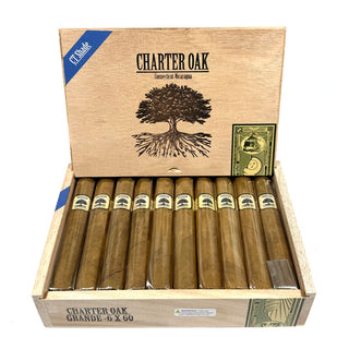 Box of Foundation Charter Oak CT Shade Grande Cigars on a white background.