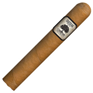Foundation Charter Oak CT Shade cigar with a brand label on a white background
