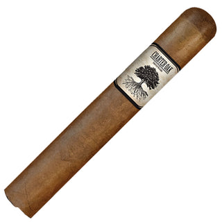 Foundation Charter Oak Habano cigar with a brand label on a white background