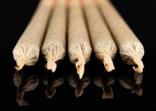 Choosing the Best Rolling Paper for Your Needs