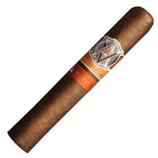 Avo Nicaragua Fogota cigar with a visible brand label on a white background