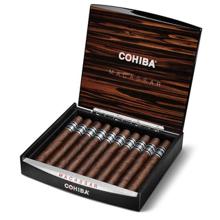 Open Cohiba Macassar cigar box with cigars inside on a white background