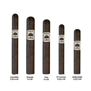 Assortment of cigars from Foundation Charter Oak on a white background