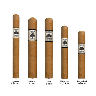 Cigars of different sizes with 'Charter Oak' labels on a white background