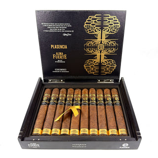Open box of Plasencia Alma Fuerte Nestor IV Toro cigars with cigars inside on a white background