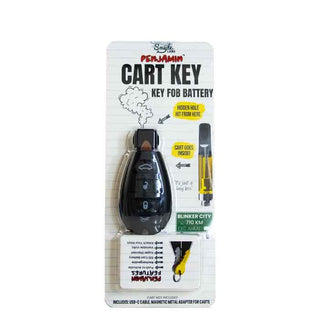 Smyle Penjamin Car Key 510 Thread Battery